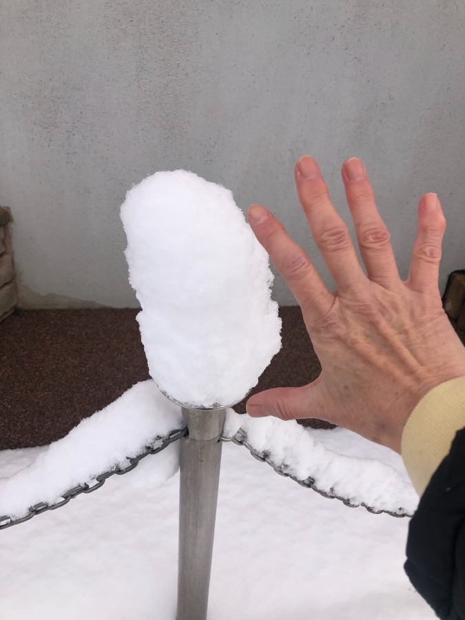 四日市市⛄️積雪10センチ⁉️