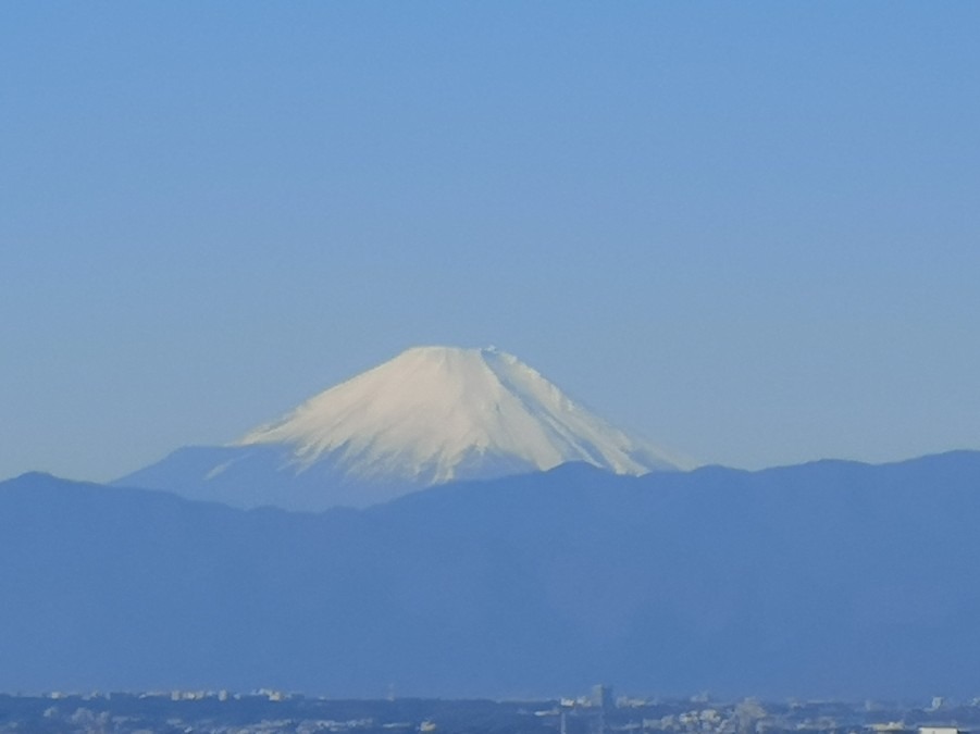 運試し🌟