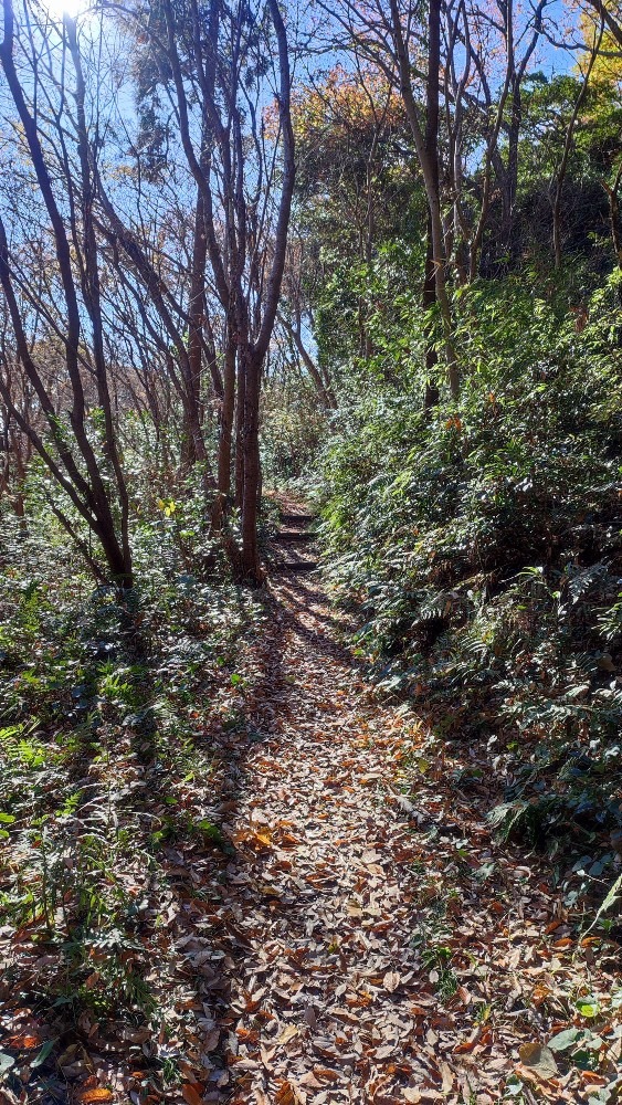 お気に入りの佐鳴湖🏃‍♀