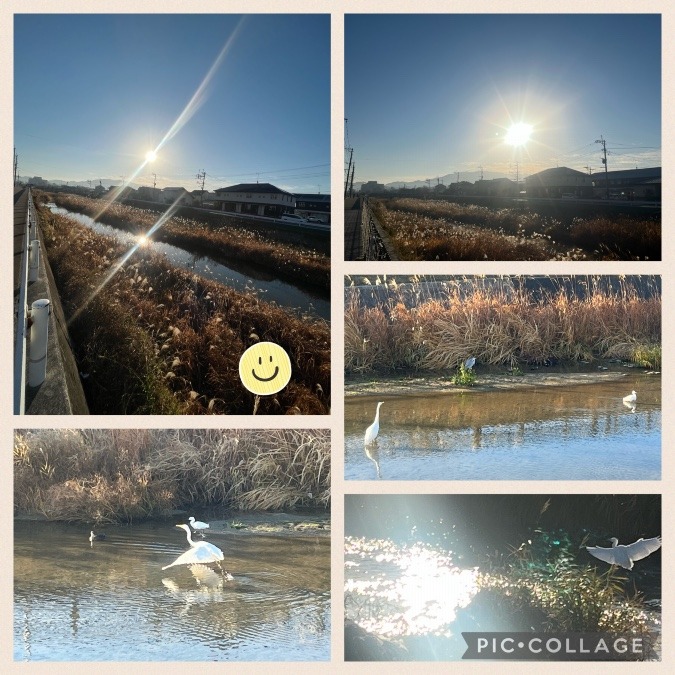 今日の朝活☀️