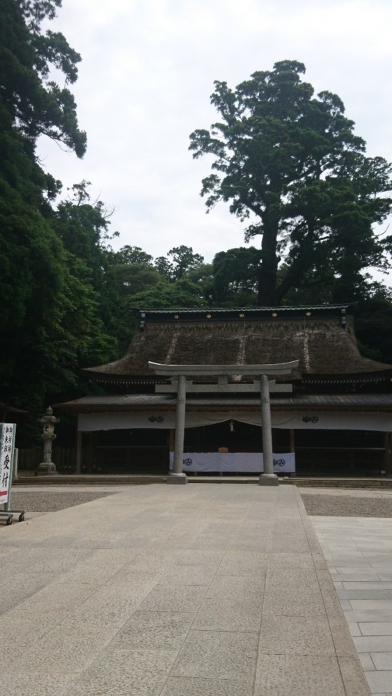 時間がある日は神社に行ってます写真は鹿島神宮です