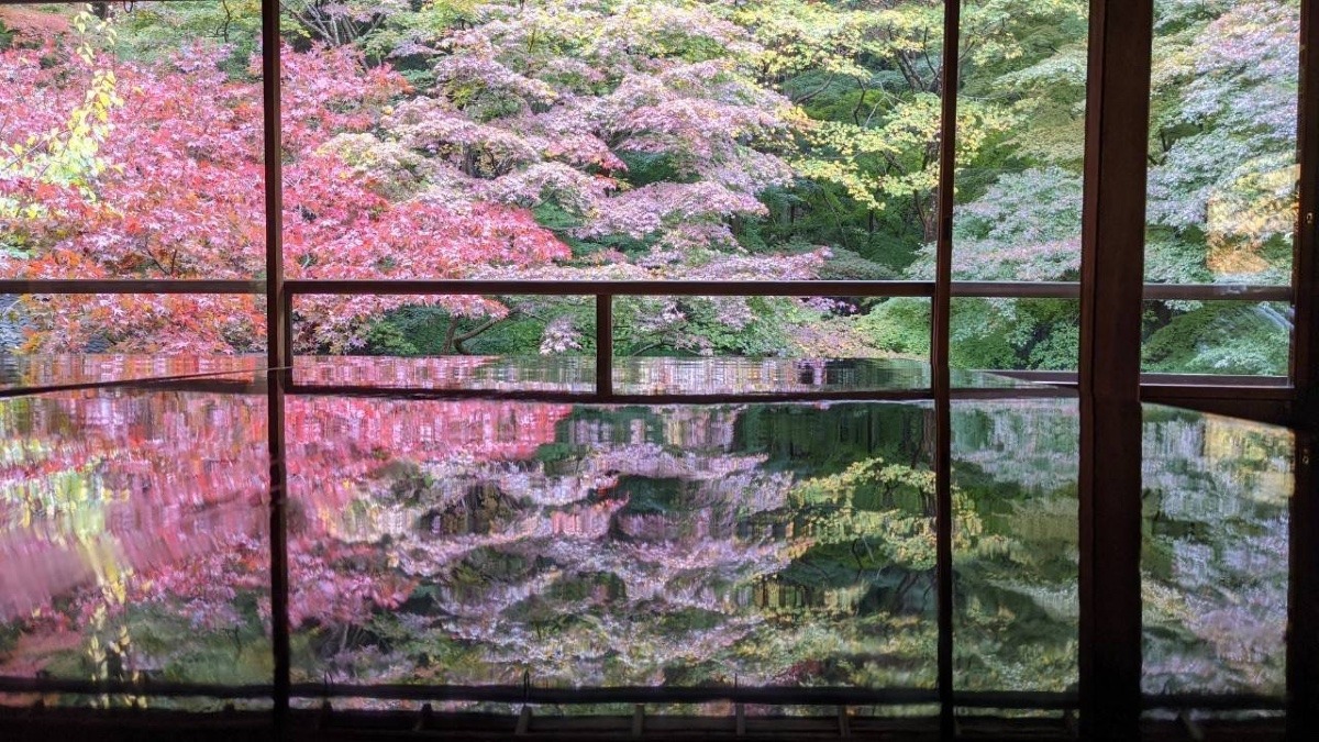 美しい紅葉🍁瑠璃光院