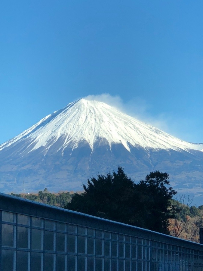 富士山