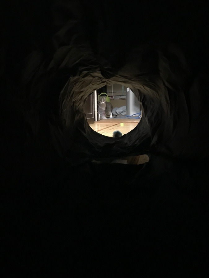 トンネルの奥から