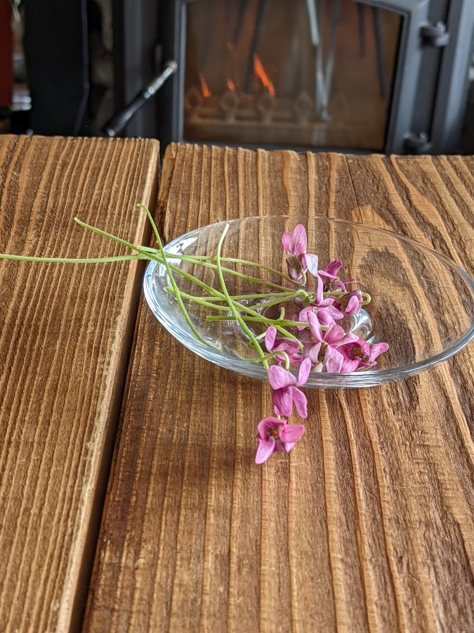 エディブルフラワー(食べれるお花)