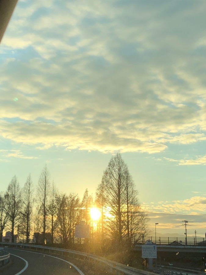 黄金色の空