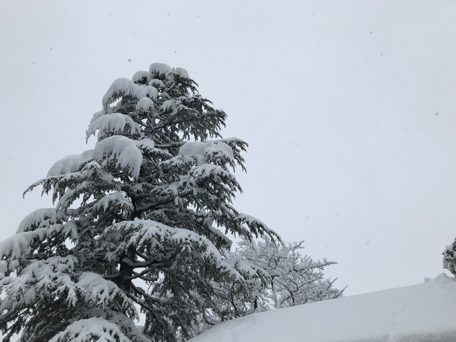 今日の富山