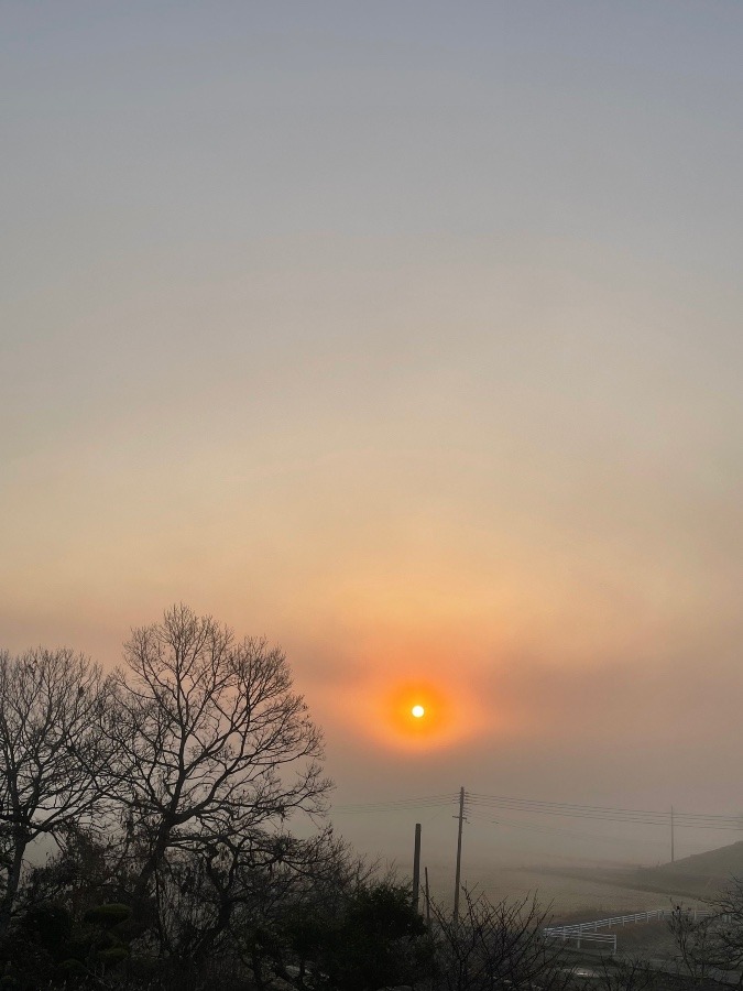 霧の中の朝日