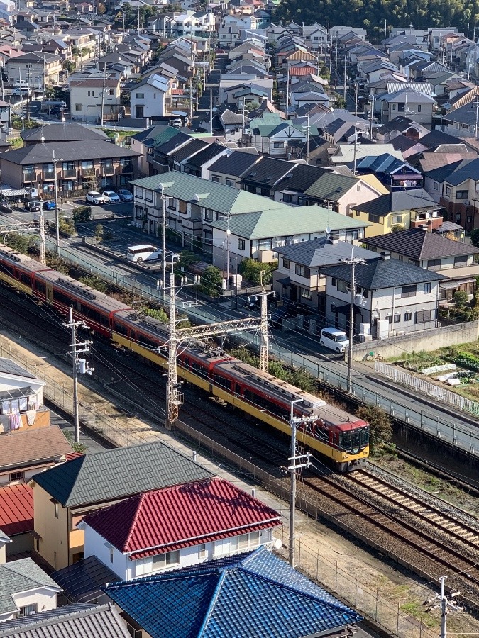 お京阪特急