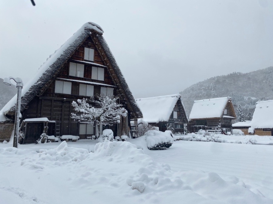 友達が白川郷に行った〜❣️