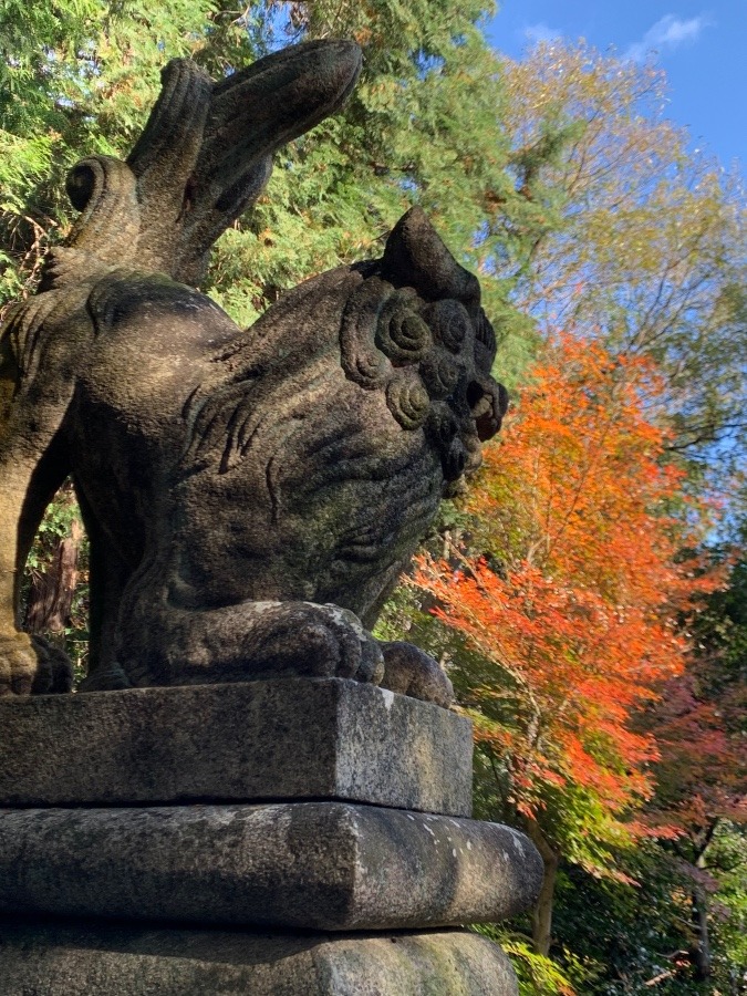 お朔日詣り⛩