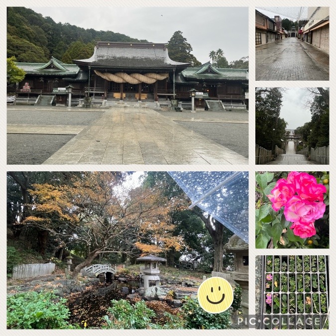 今日の朝活☔️