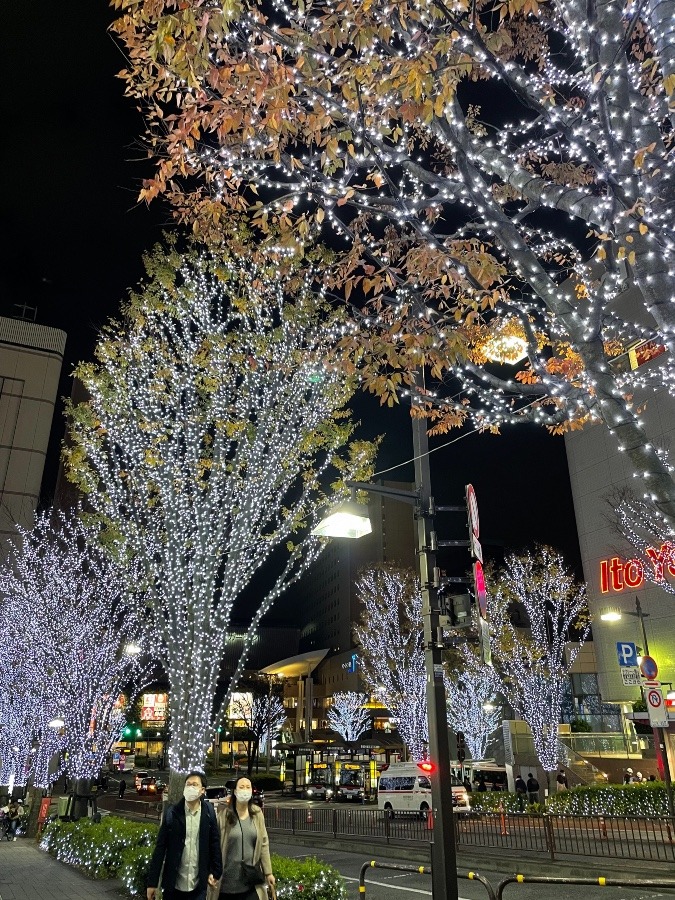 今日は大井町へ