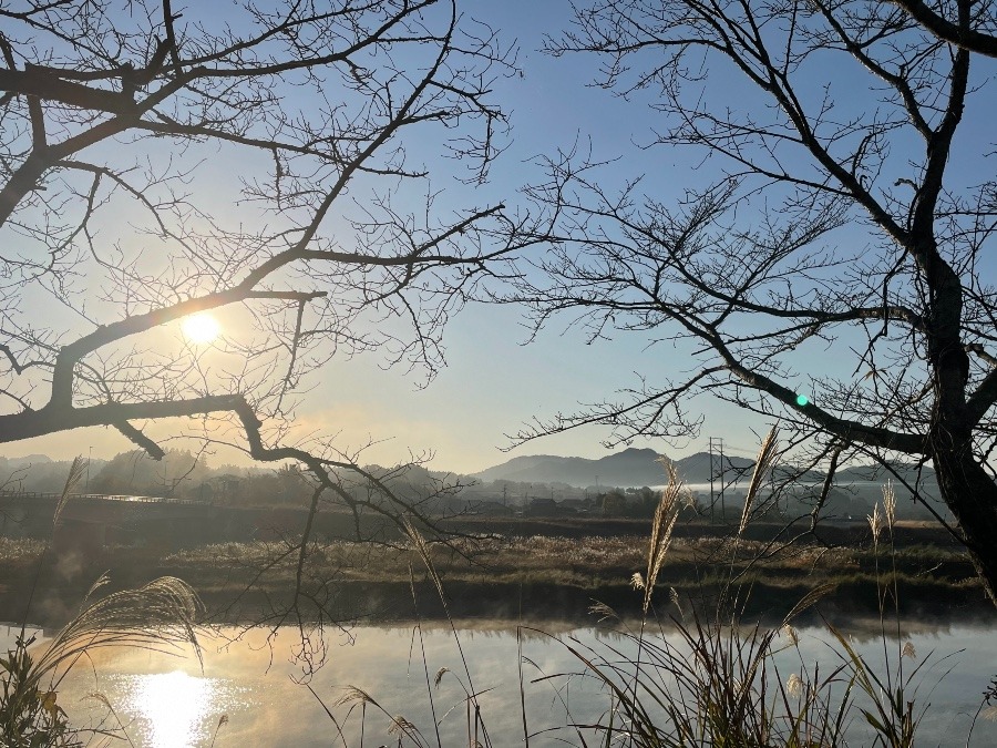 朝の風景