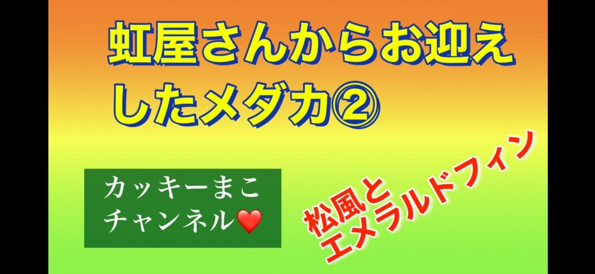 松風とエメラルドフィン