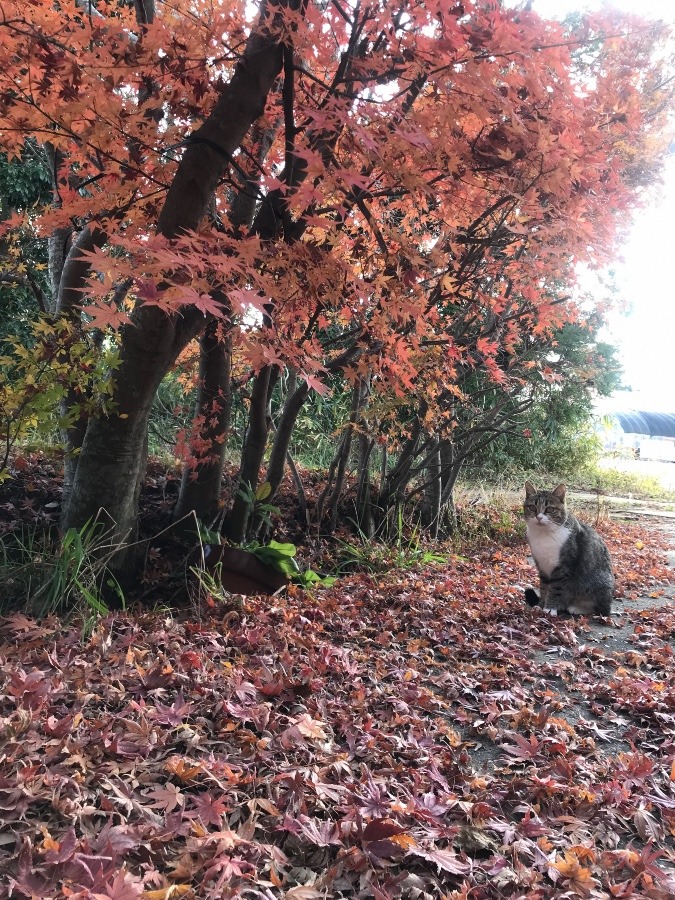 今日のユキさん(^-^)