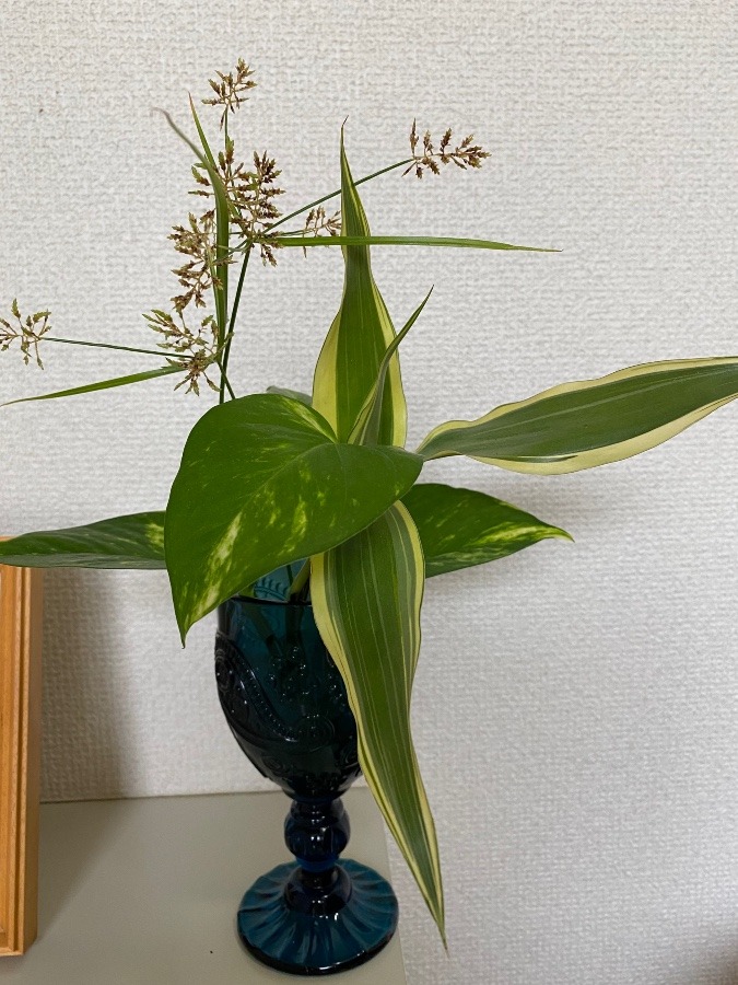 かわいいお花発見😍