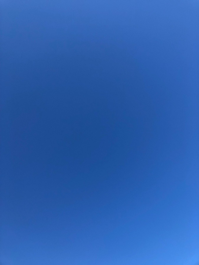 澄み渡る空🕊
