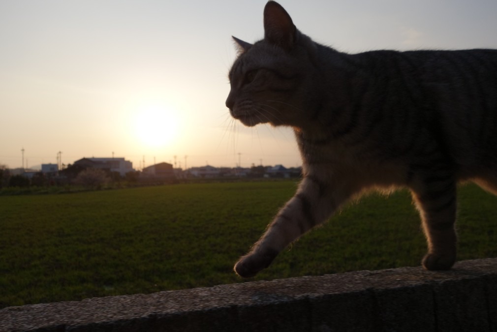 あるこ、歩こ、私は元気♪