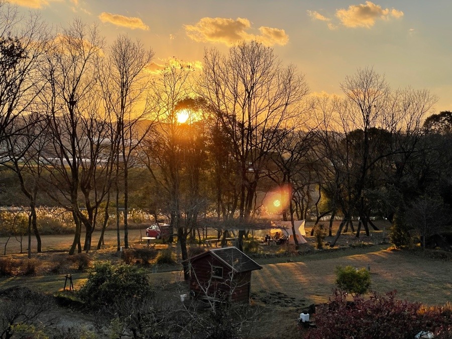 暖かな陽射しに冬キャンプ❣️幸せそう❣️