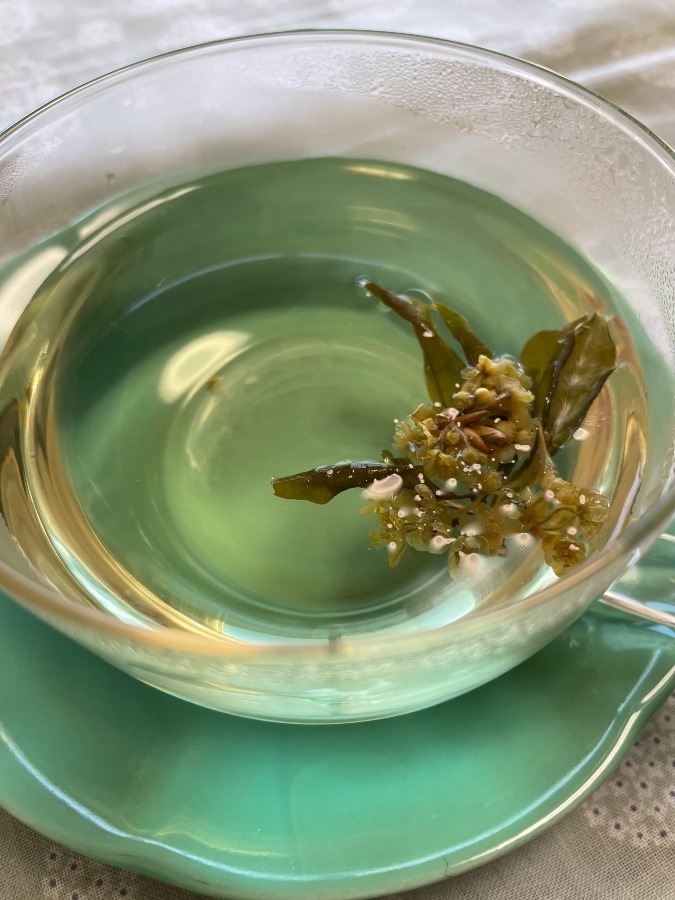 昨日のくろもじ花茶にお湯を注ぎました