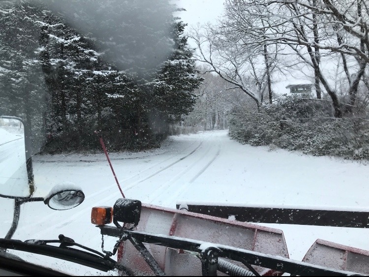 やっぱり降るんだね・・・☃️❄️