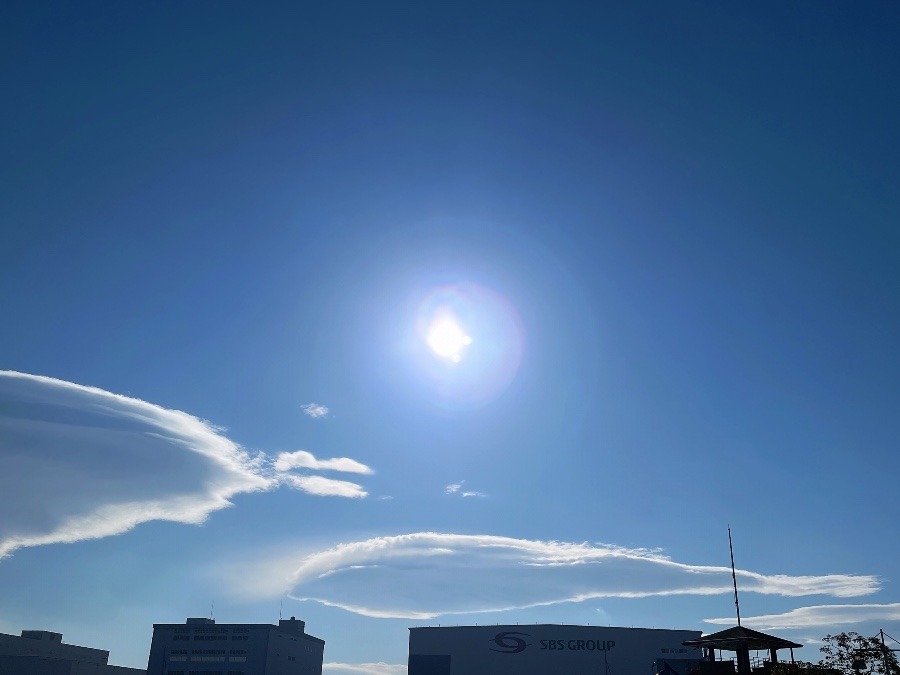 今日は天気が良くて