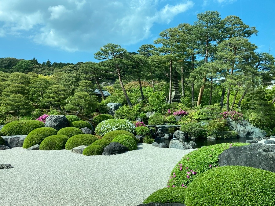 足立美術館　日本庭園