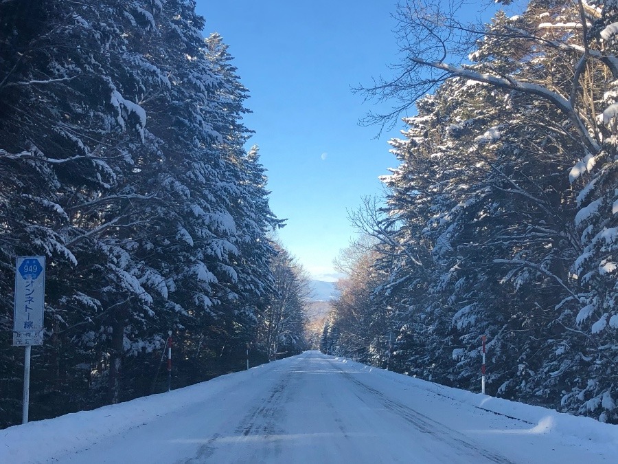 冬の山道