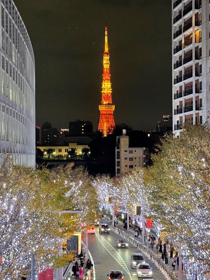 けやき坂イルミネーション