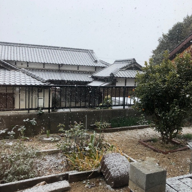 降り出した❄️