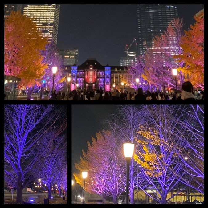 丸の内イルミネーションその2🎄✨✨東京ミチテラス✨