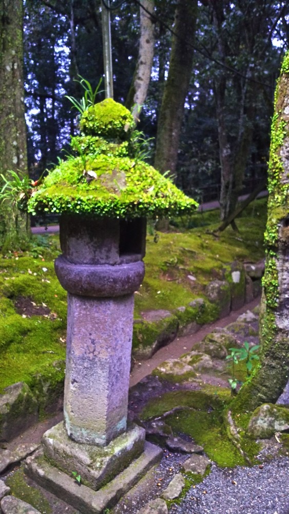 宇佐神宮 参道で