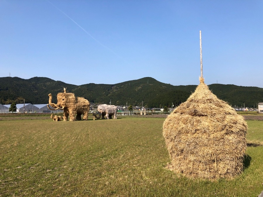 とある田舎の風景