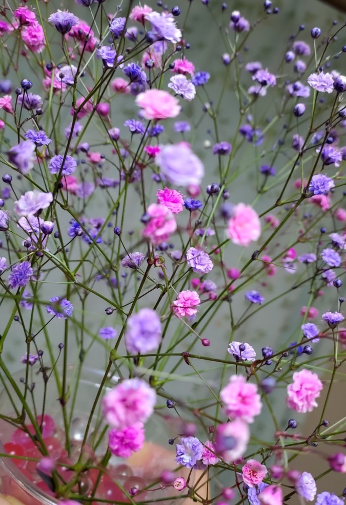 大好きなのは…花！花！華！！！