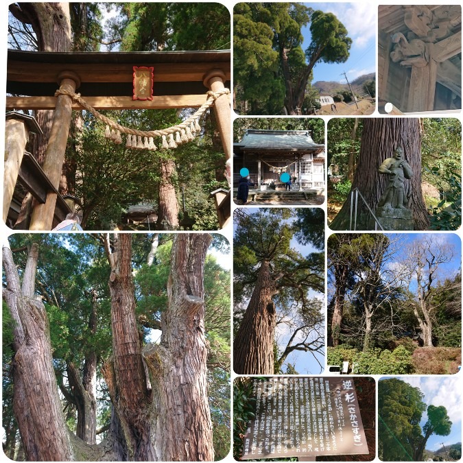 **高千穂✨下野八幡大神社⛩️✨ ** 凄い‼️‼️ところでした。