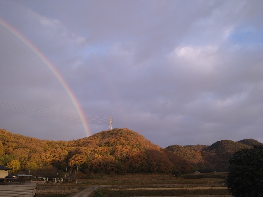 　　わっ！　すご～い✨🌈