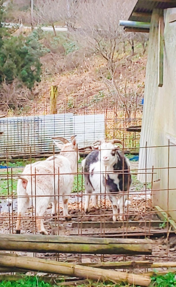 こちらにおいでよ❤️