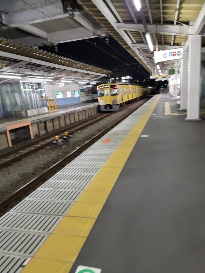 たった5駅しかないけど