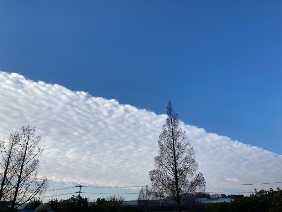 今朝の空