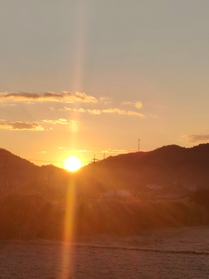 1月31日の朝日🌅✨