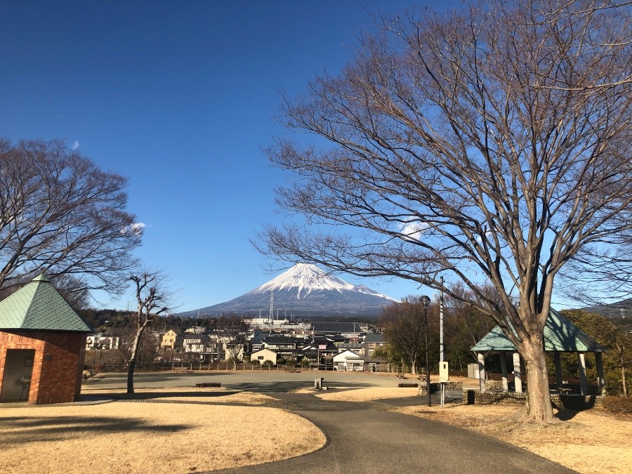 今日の富士山