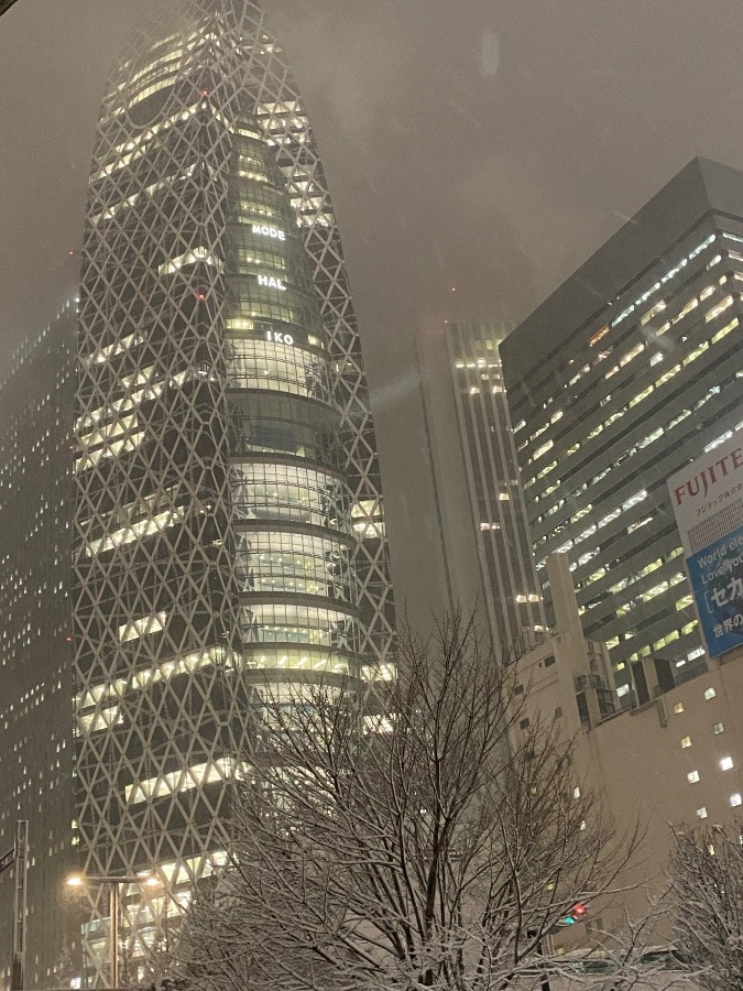 ☃️東京新宿の☃️雪❣️