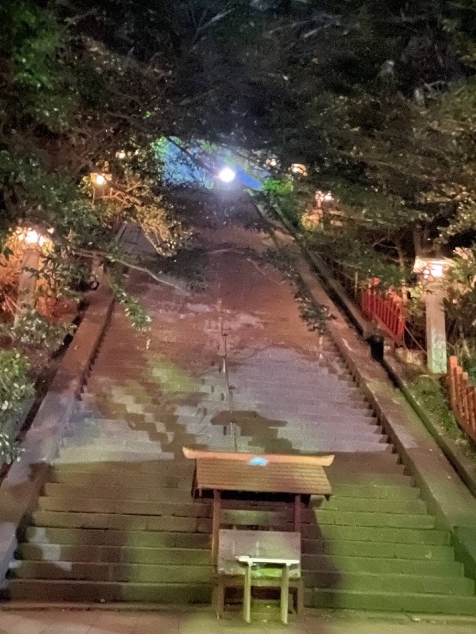 静岡浅間神社境内下側から知人が撮影した味わいのある風景ですネ
