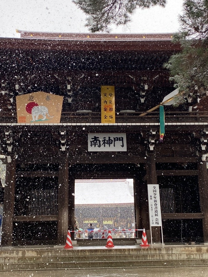 明治神宮　2022初雪