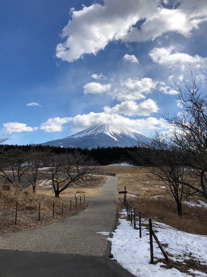 とあるSAからの富士山