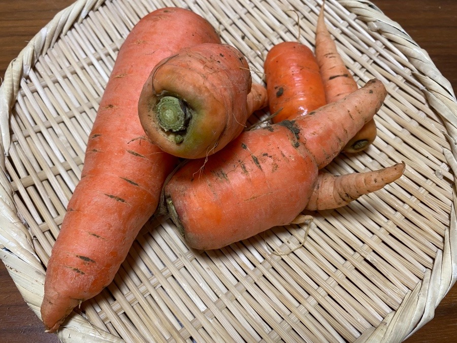 にんじん🥕