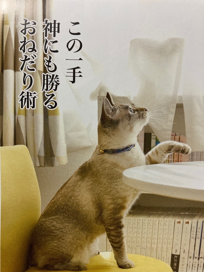 招き猫