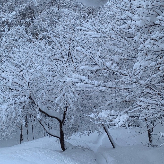 冬の北海道