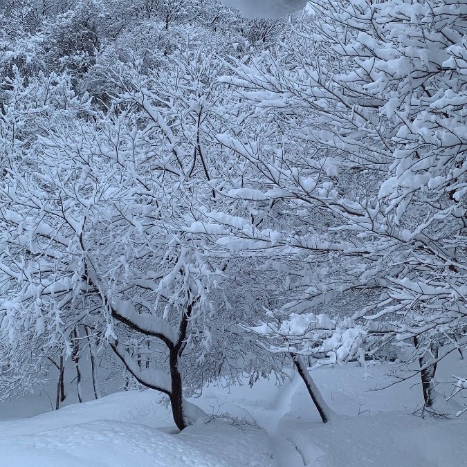 冬の北海道